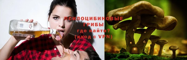дмт Алзамай