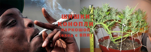 прущие грибы Покровск