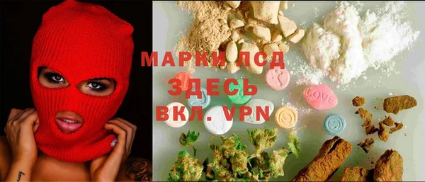 прущие грибы Алексеевка