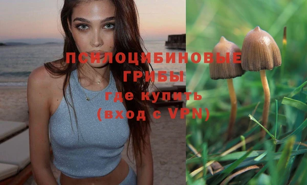 дмт Алзамай