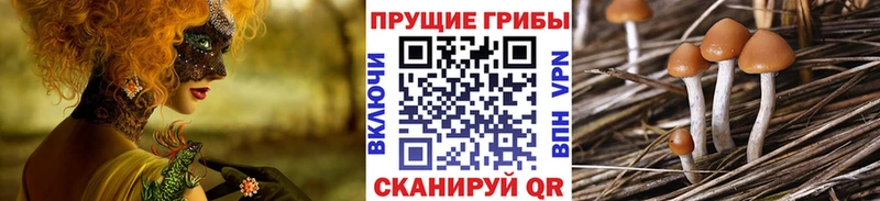 Галлюциногенные грибы ЛСД магазин продажи наркотиков Кондопога
